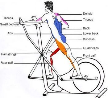 An elliptical trainer works out many different parts of the body and muscles